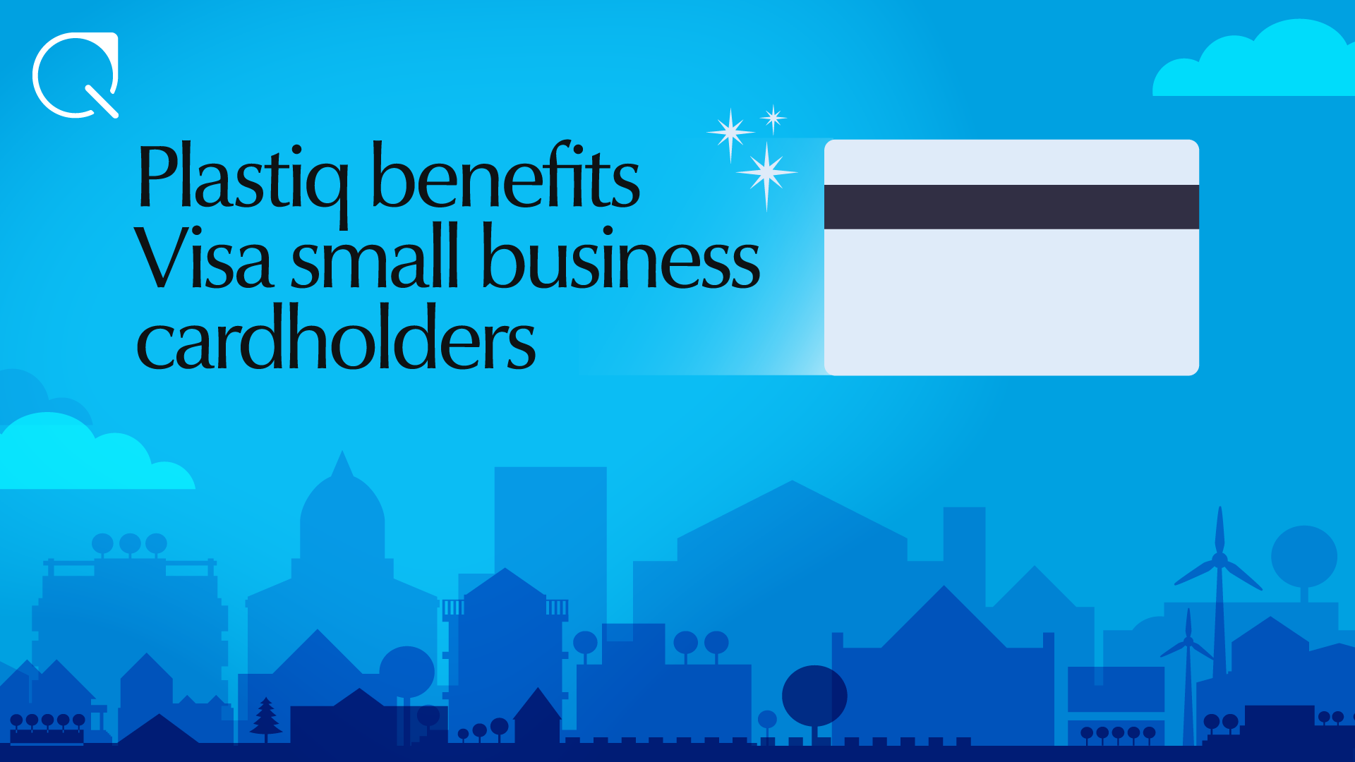 Visa small business cardholders